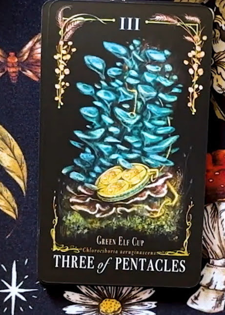 Midnight Magic: A Tarot Deck of Mushrooms